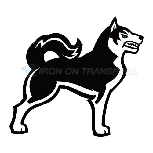 Northeastern Huskies Logo T-shirts Iron On Transfers N5637
